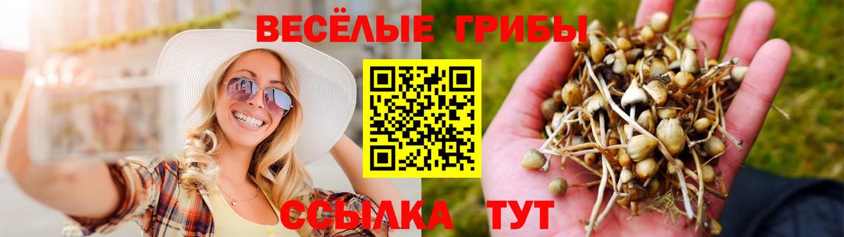 где можно купить наркотик  Вход с VPN  Ярцево  Псилоцибиновые грибы мухоморы 